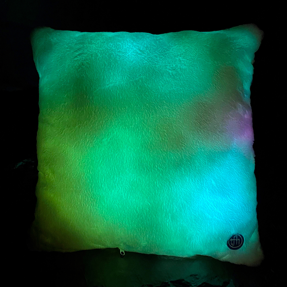 Visual Sensory